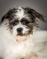 Foster Leeza-2573