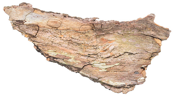 Bark_3