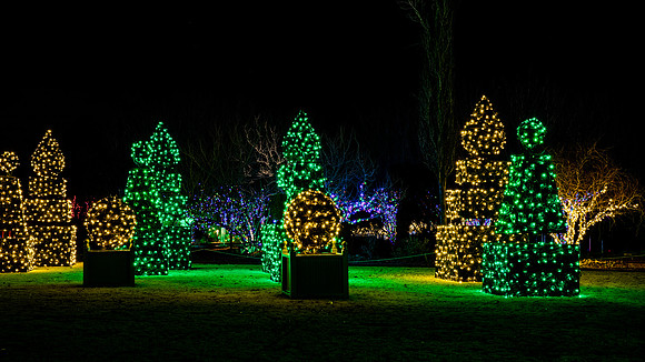 Christmas-2538