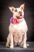 Foster Joanie-0406