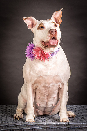 Foster Joanie-0406