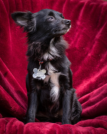 Foster Julio-8498