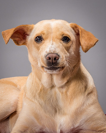 Foster June-3502