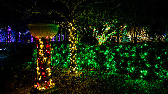 Christmas-2562