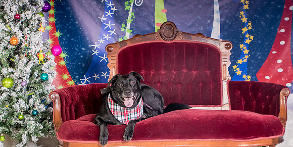 Foster Beatrice-3974