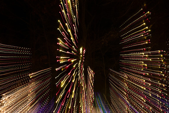 Christmas-2654