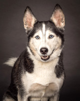 Bella-2404