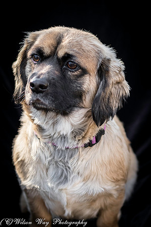 Foster Trudy-20