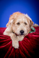 Partick-Newman & Sadie-2454