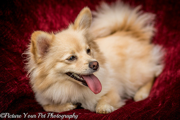 Foster Shirley-6101