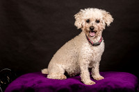Foster Mae-8949