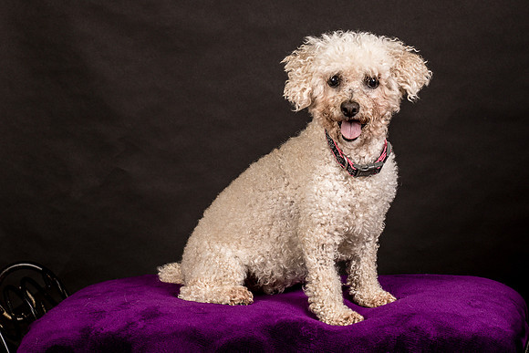 Foster Mae-8949