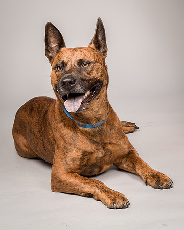Foster Beans-2304