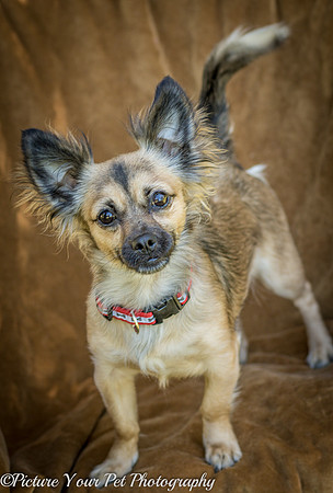 Foster Delphine-6405
