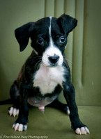 Foster Bennett-3861