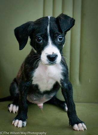 Foster Bennett-3861