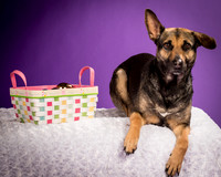 Izzy-2231