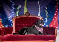 Foster Beatrice-3978