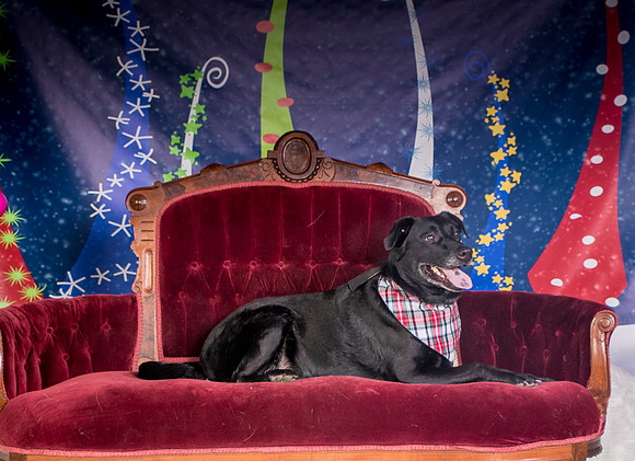 Foster Beatrice-3978