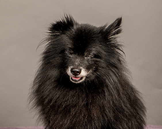 Foster Wayne-8342
