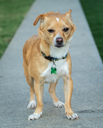 Foster Paddy-9966