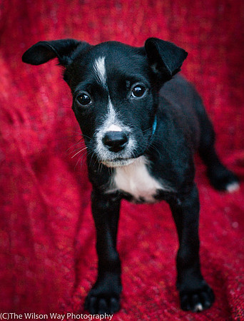 Foster Blythe-3926