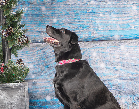 Foster Beatrice-4052