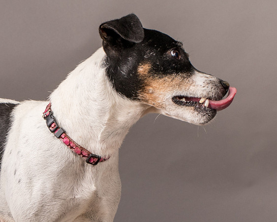 Foster Pollyanna-3951