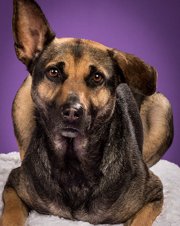 Izzy-2230