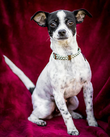 Foster Haylie-3973